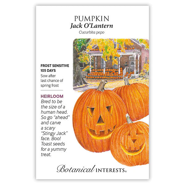 Botanical Interests - Jack O'Lantern Pumpkin