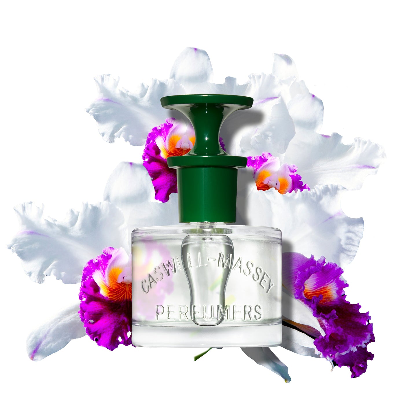 Orchid Perfume Fragrance Caswell-Massey