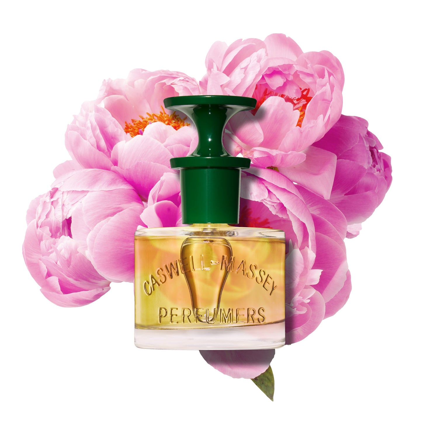 Peony Perfume Fragrance Caswell-Massey