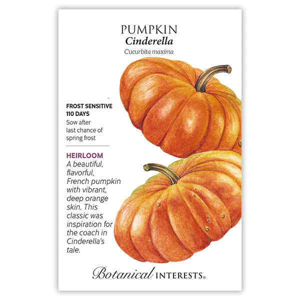 Botanical Interests - Cinderella Pumpkin