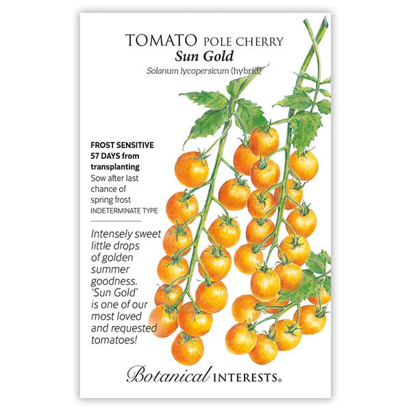 Botanical Interests - Sun Gold Pole Cherry Tomato