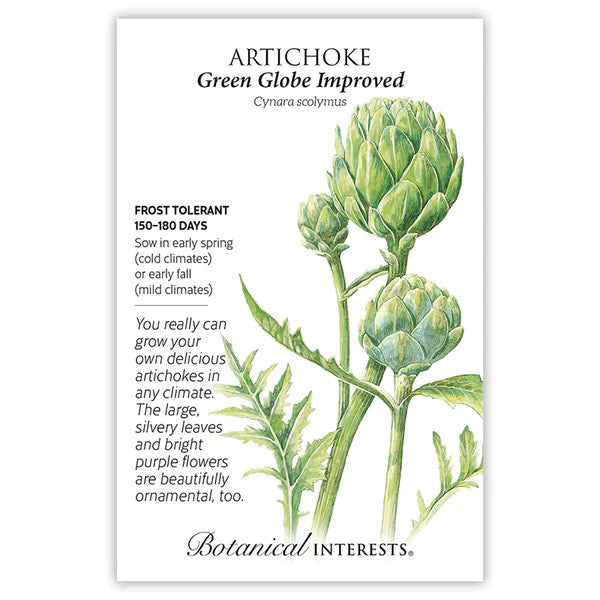 
                  
                    Botanical Interests -  Green Globe Artichoke
                  
                