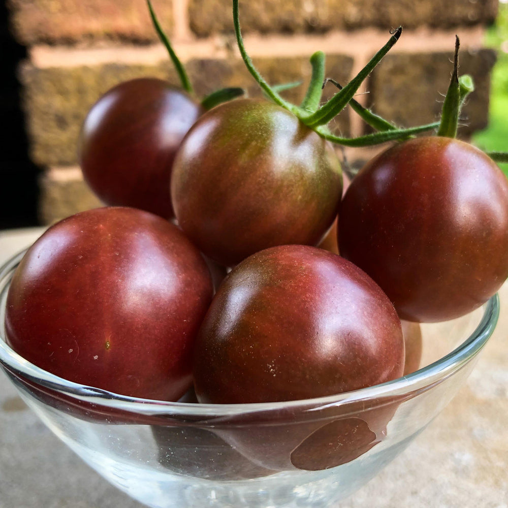 Seed Savers - Chocolate Cherry Tomato