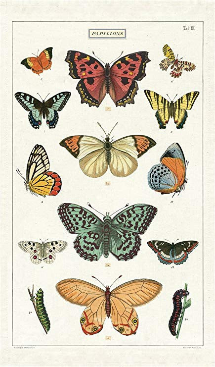 
                  
                    Vintage Butterfly Tea Towel
                  
                