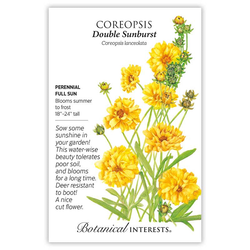 Botanical Interests - Double Sunburst Coreopsis