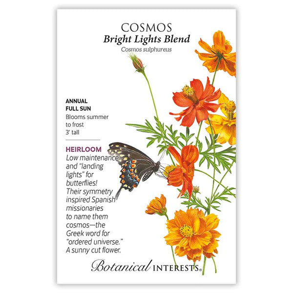 Botanical Interests - Cosmos Bright Lights Blend