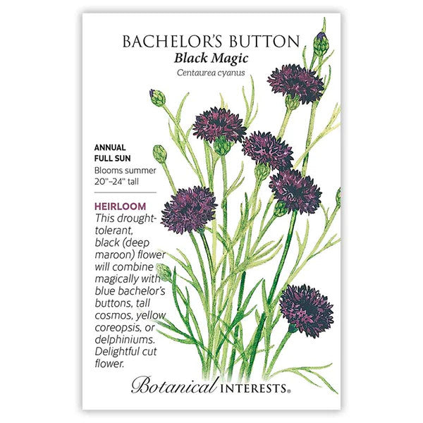 Botanical Interests - Black Magic Bachelor's Button