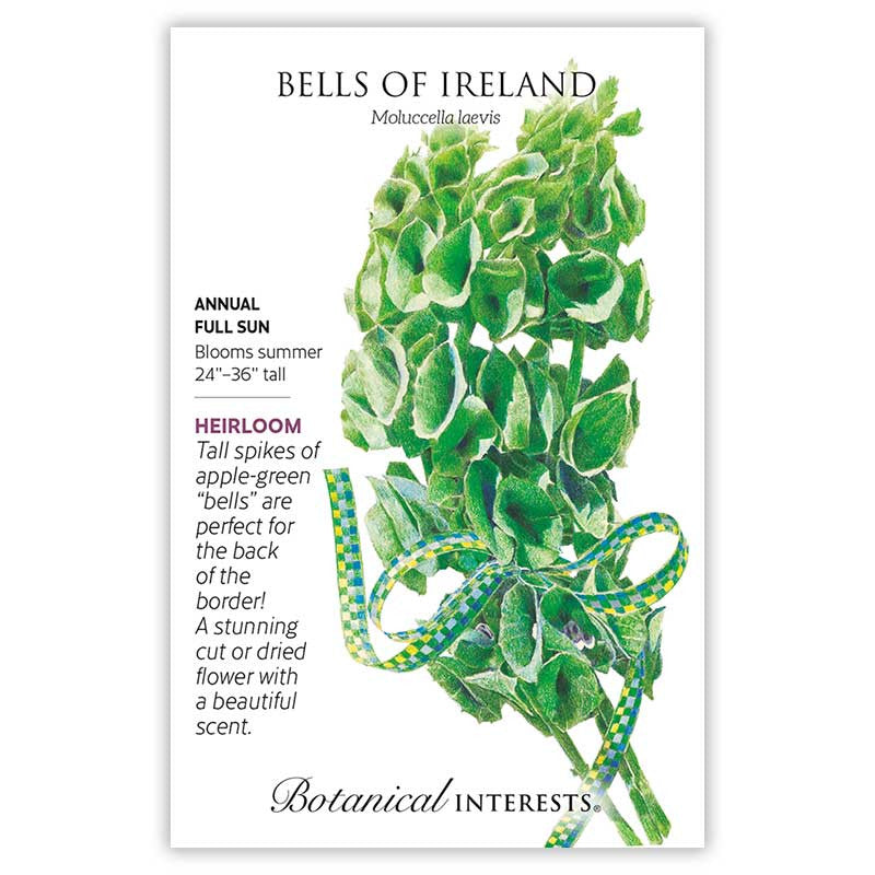 Botanical Interests - Bells of Ireland