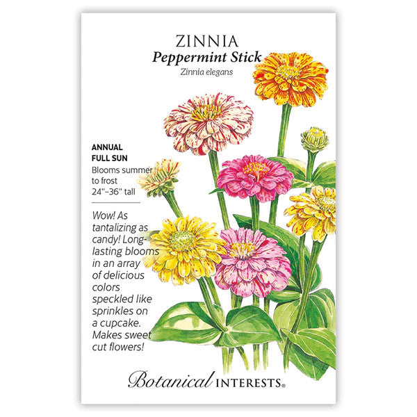 Botanical Interests - Zinnia Peppermint Stick