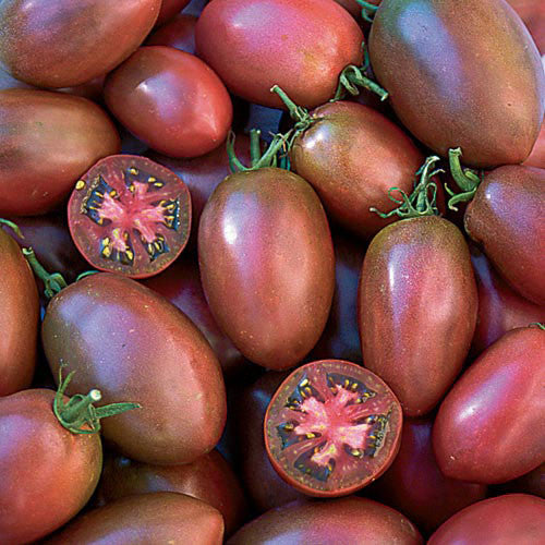 Seed Savers - Ukranian Purple Tomato