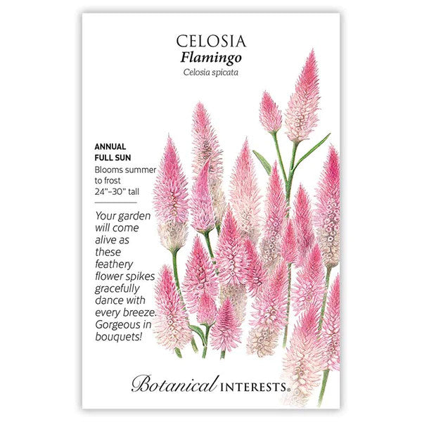 Botanical Interests - Flamingo Celosia