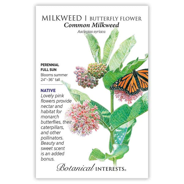 Botanical Interests - Common Milkweed/Butterfly Flower