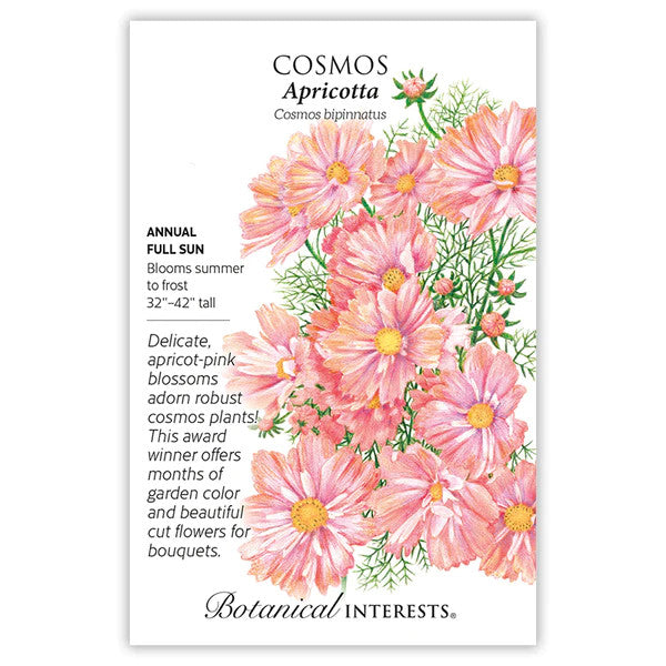 Botanical Interests - Apricotta Cosmos