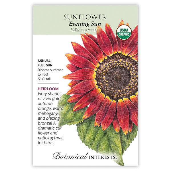 Botanical Interests - Sunflower Evening Sun