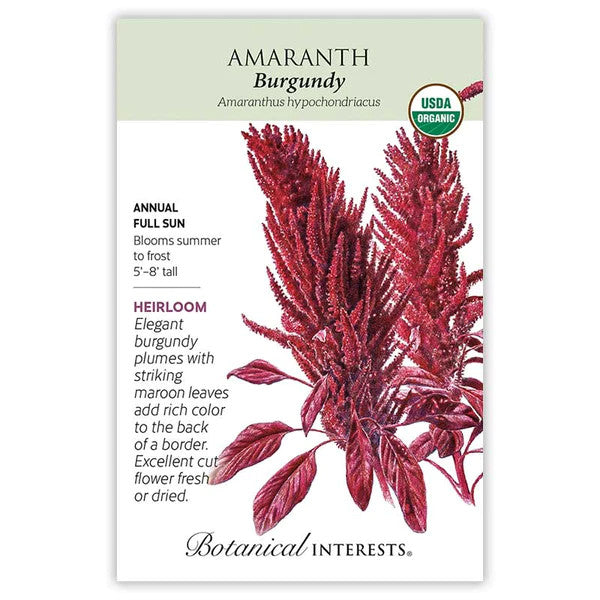 Botanical Interests - Burgundy Amaranth