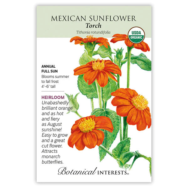 Botanical Interests - Mexican Torch Sunflower