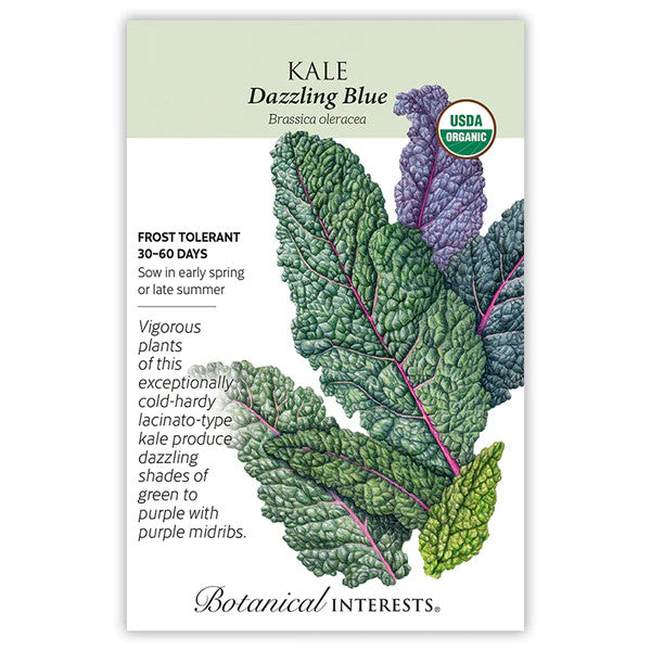 Botanical Interests - Dazzling Blue Kale