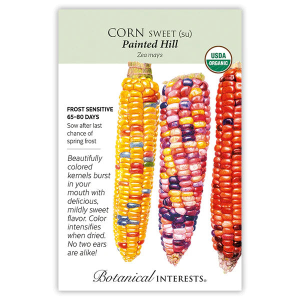 Botanical Interests - Painted Hill Sweet Corn