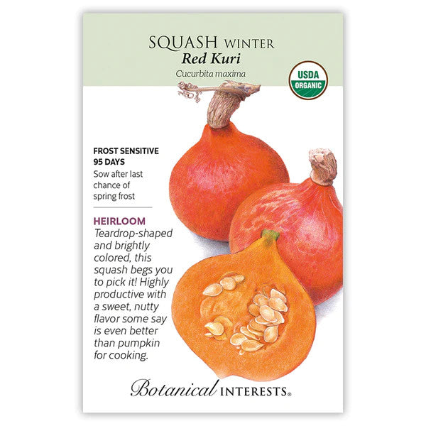 Botanical Interests - Red Kuri Winter Squash