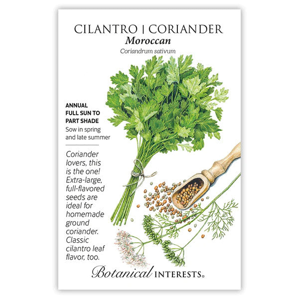 Botanical Interests - Moroccan Cilantro