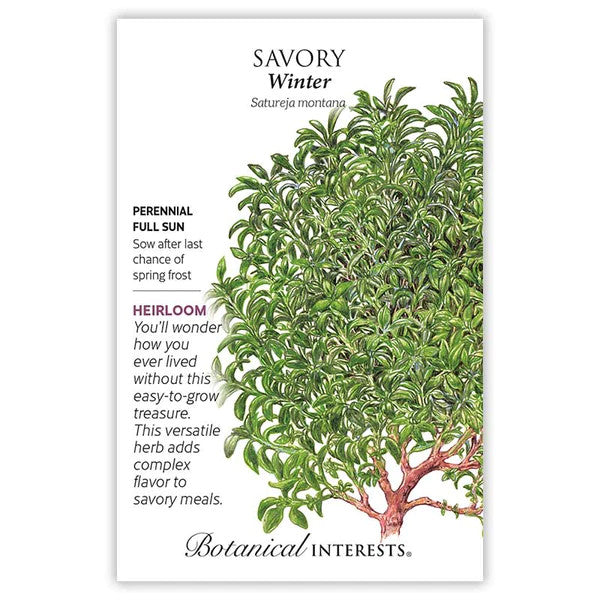 Botanical Interests - Winter Savory