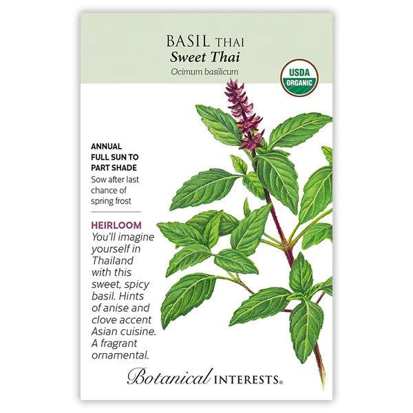 Botanical Interests - Sweet Thai Basil