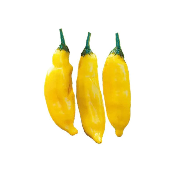 Sandia Seed Company - Aji Limo/Lemon Drop Pepper