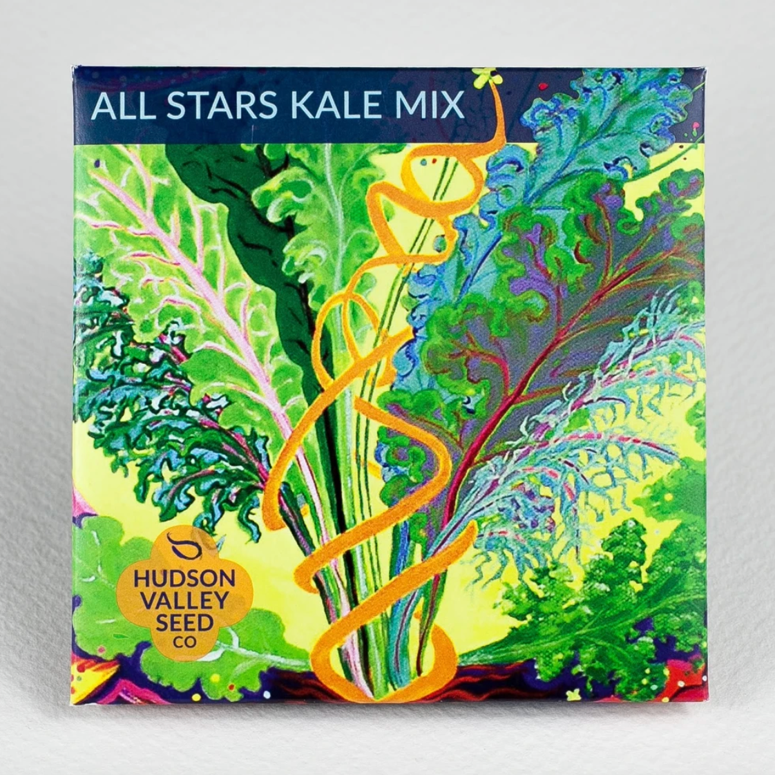 Hudson Valley Seed Library - All Stars Kale