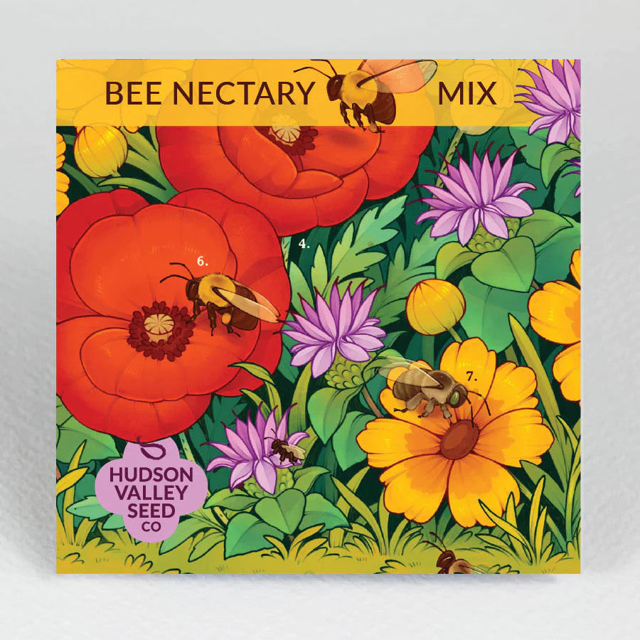 Hudson Valley Seed Library - Bee Nectary Mix