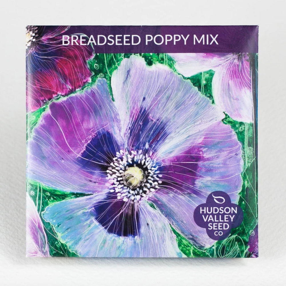 Hudson Valley Seed Library - Breadseed Poppy Mix