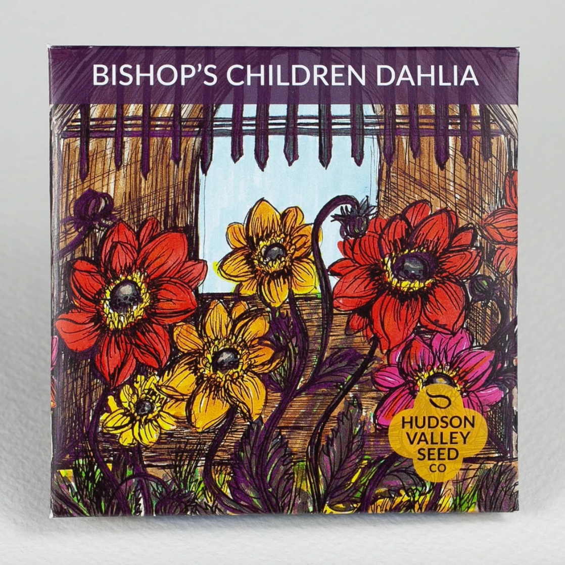 Hudson Valley Seed Library - Bishop's Children Dahlia