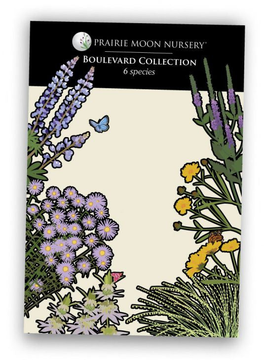 Prairie Moon Nursery - Boulevard Collection