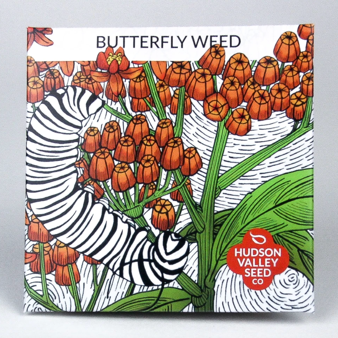 Hudson Valley Seed Library - Butterfly Weed