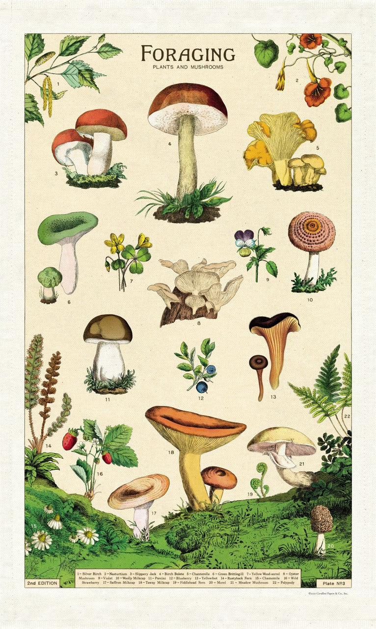 Cavallini & Co. - Foraging Tea Towel