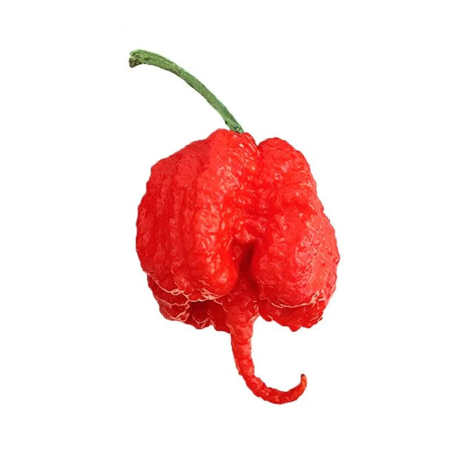 Sandia Seed Company - Carolina Reaper Red