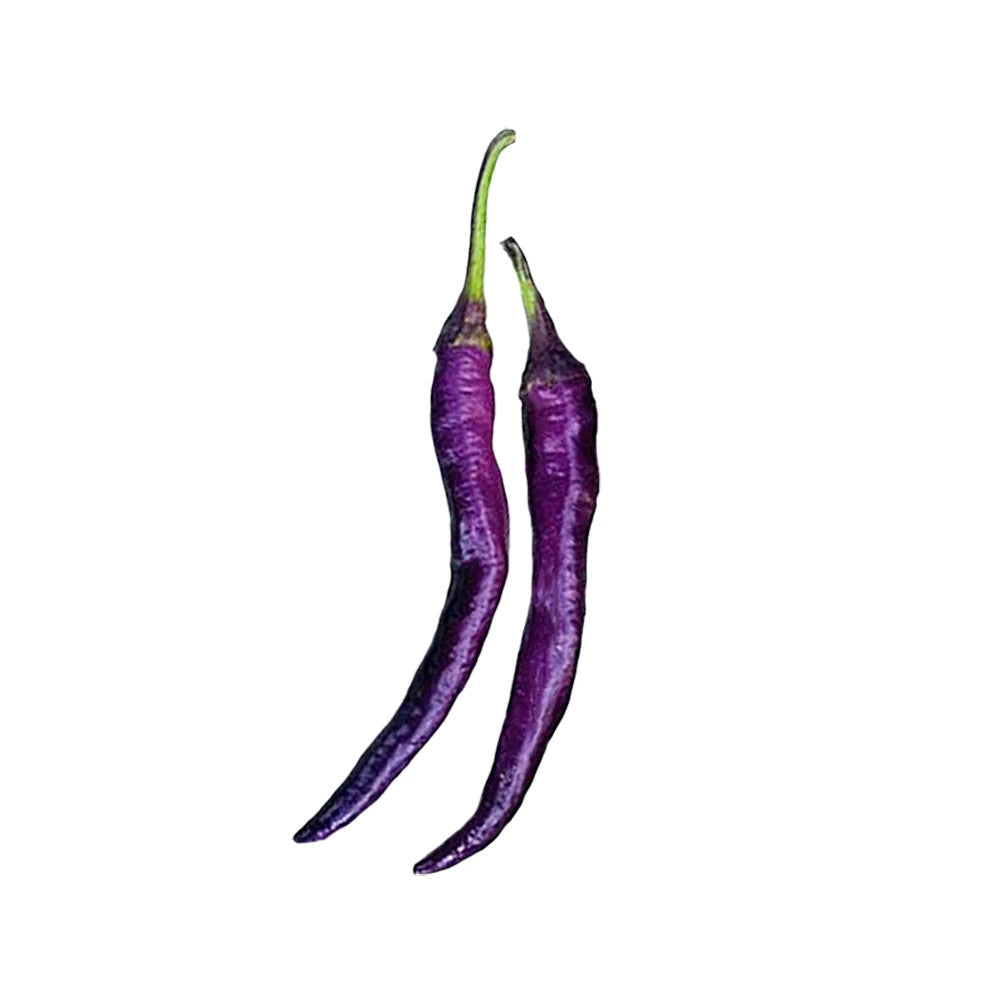 Sandia Seed Company - Purple Cayenne Pepper