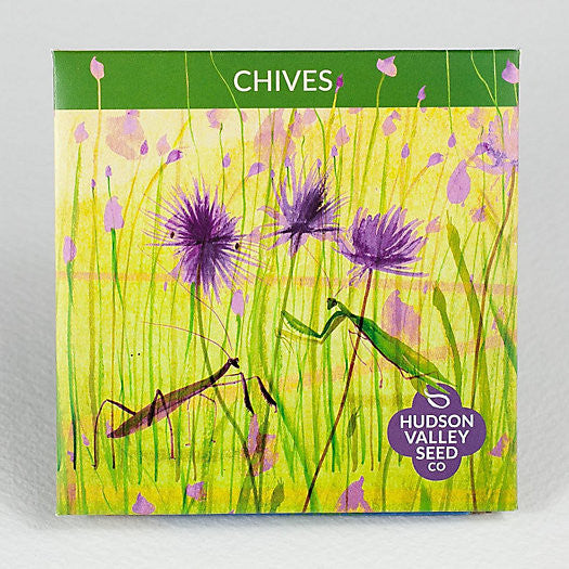 Hudson Valley Seed Library - Chives