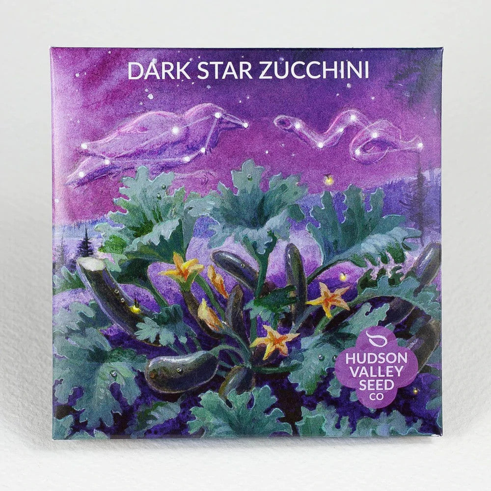 Hudson Valley Seed Library - Dark Star Zuccini