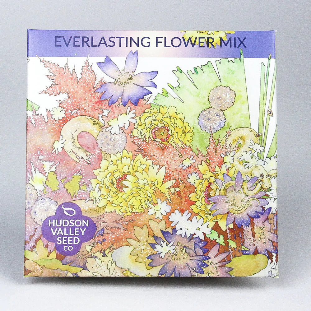 Hudson Valley Seed Library - Everlasting Flower Mix