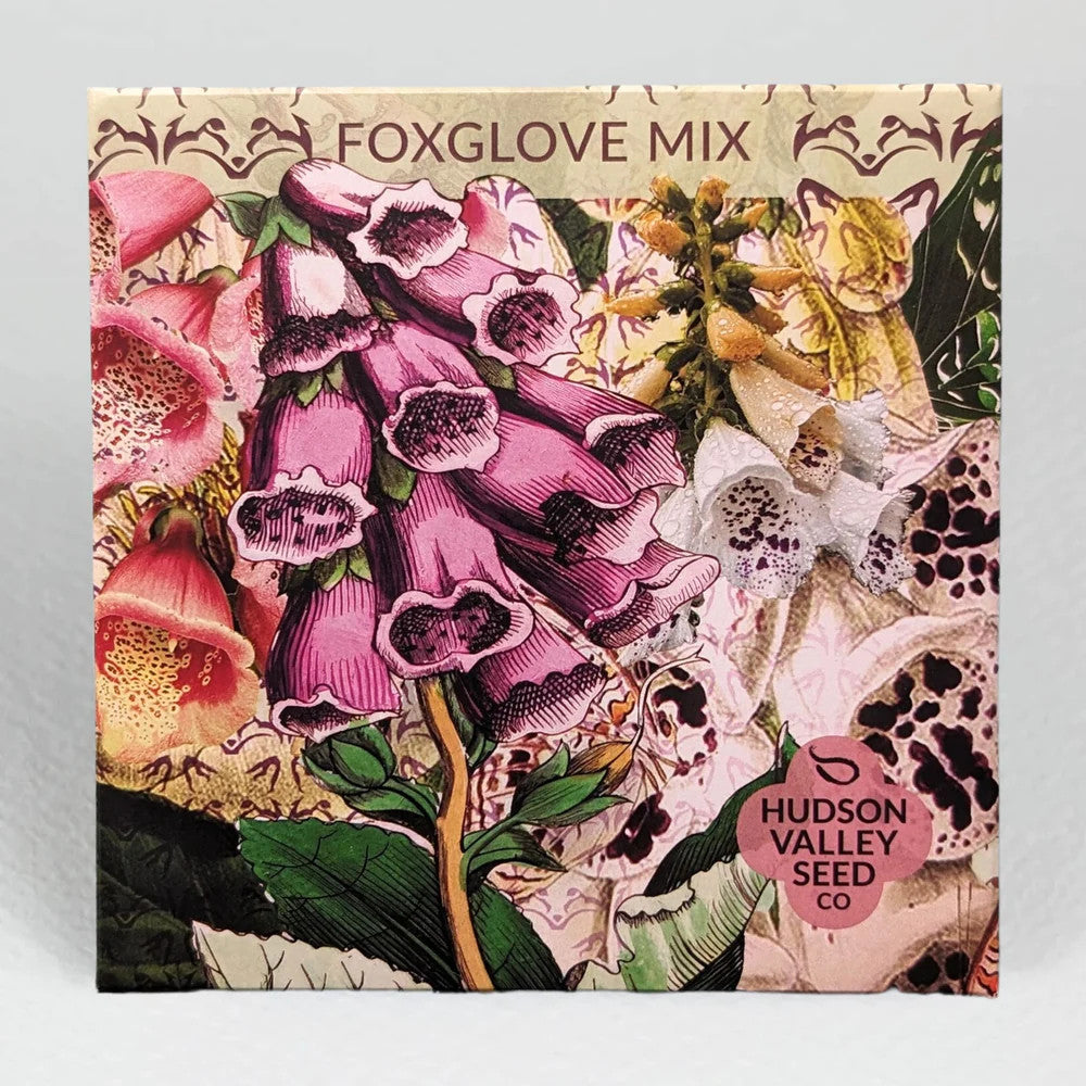 Hudson Valley Seed Library - Foxglove Mix