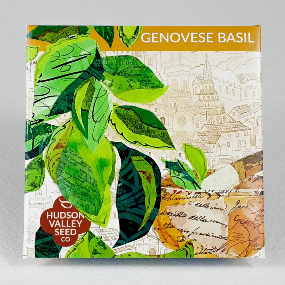 Hudson Valley Seed Library - Genovese Basil