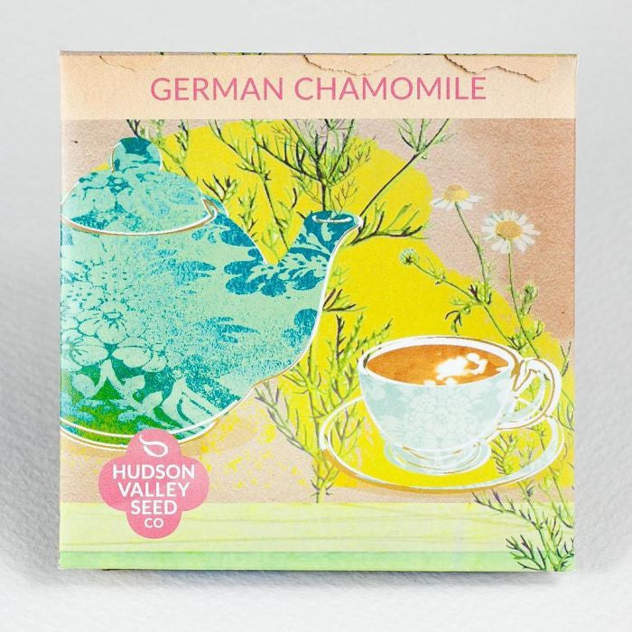 Hudson Valley Seed Library - German Chamomile