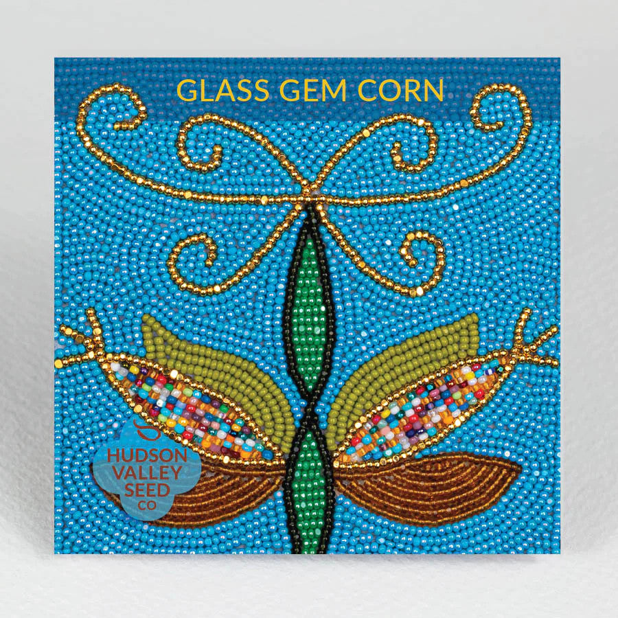 Hudson Valley Seed Library - Glass Gem Corn