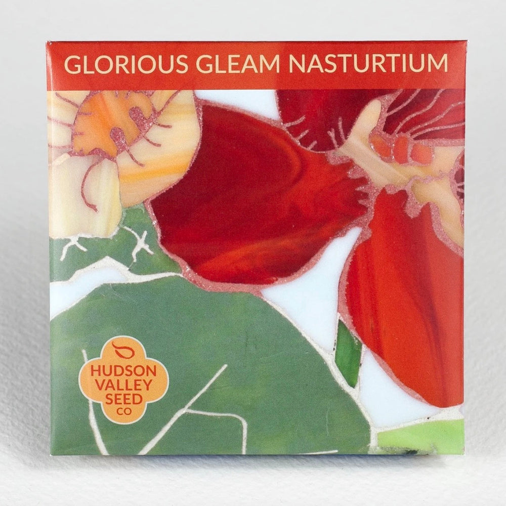 Glorious Gleam Nasturtium Seed Packet