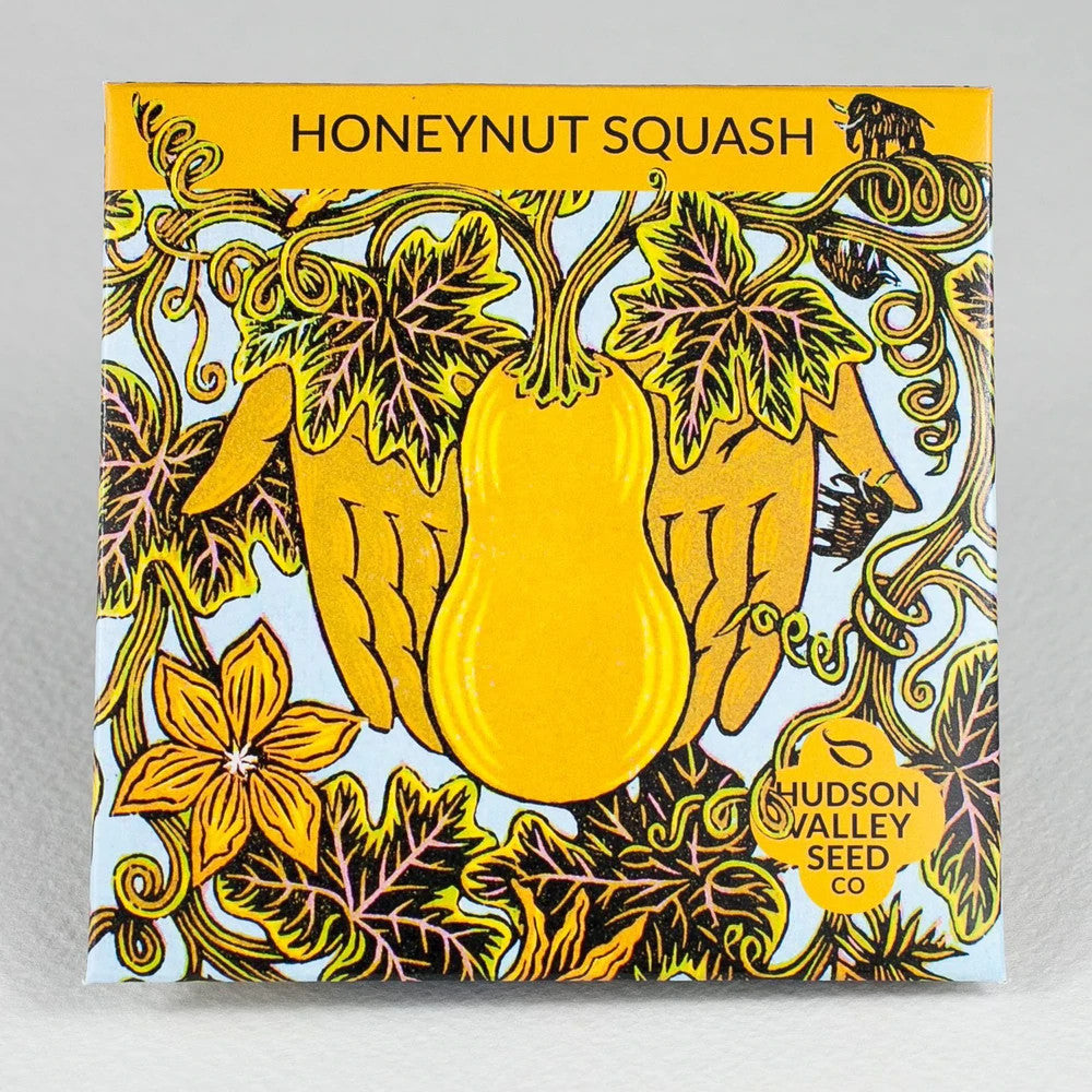 Hudson Valley Seed Library - Honeynut Squash