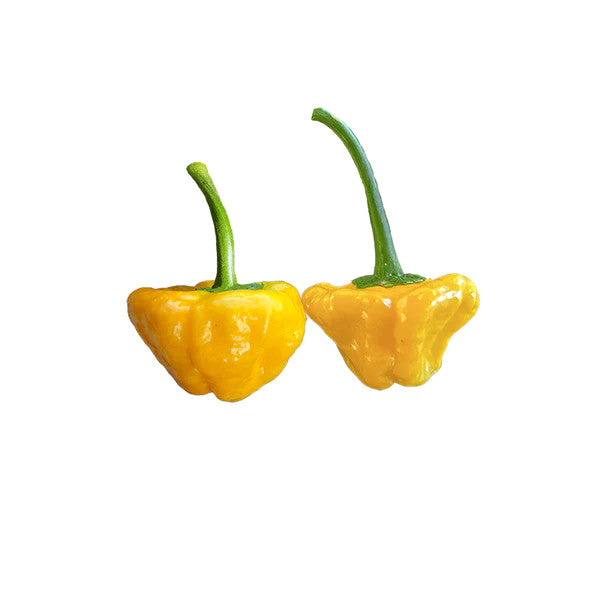 Sandia Seed Company - Jamaican Yellow Heirloom Hot Pepper