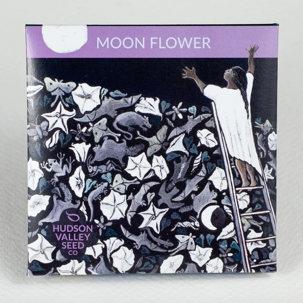 
                  
                    Hudson Valley Seed Library - Moon Flower
                  
                