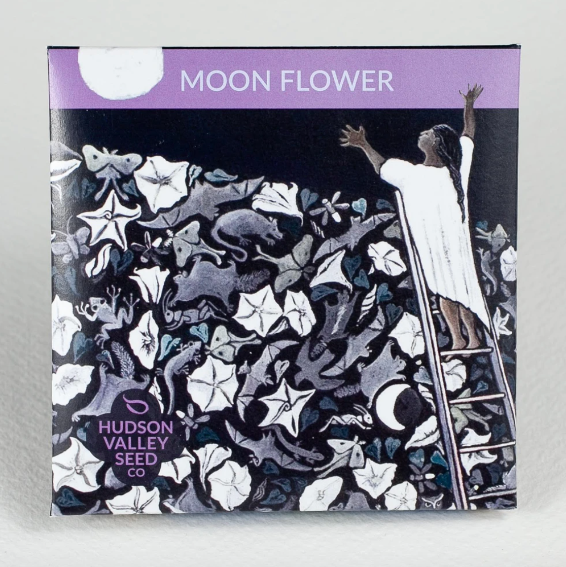 Hudson Valley Seed Library - Moon Flower