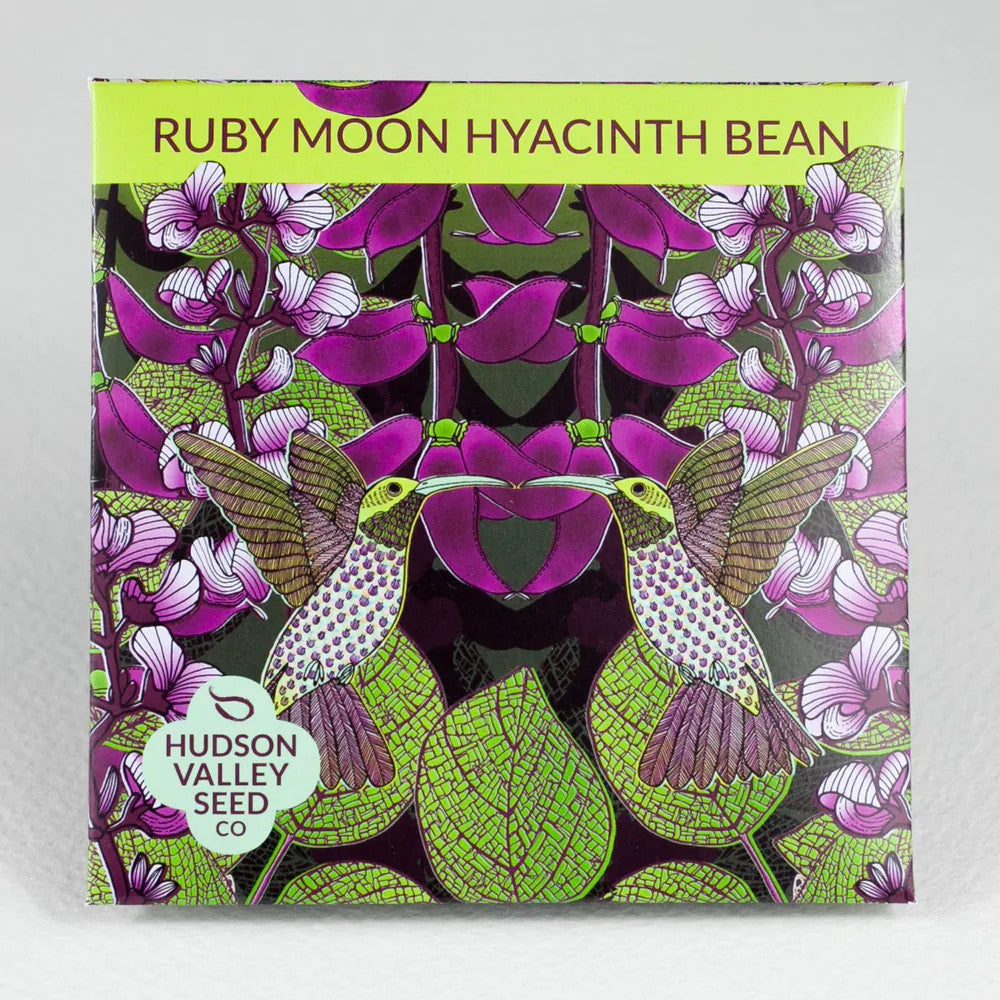 Hudson Valley Seed Library - Ruby Moon Hyacinth Bean