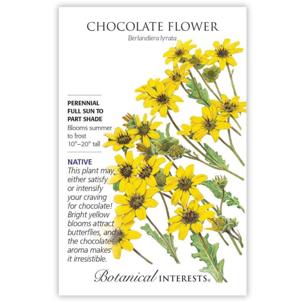 Botanical Interests - Chocolate Flower Seeds